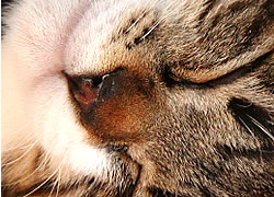 c0035001_15563932.jpg