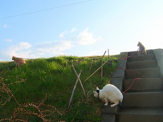 a0034419_8475260.jpg