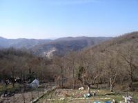 c0068149_0165649.jpg
