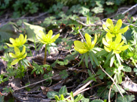 c0068149_0193392.jpg