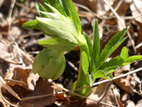 c0068149_0214525.jpg