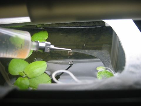 c0041852_1255499.jpg