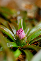 c0069552_7481347.jpg