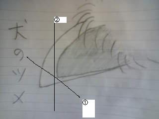 c0062954_22455475.jpg