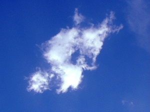 b0015260_2093849.jpg