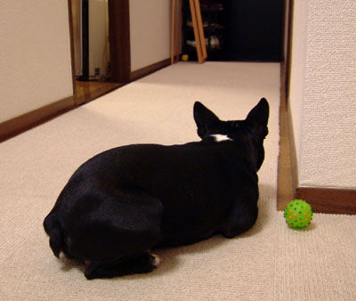 c0032567_2152659.jpg