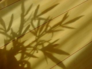 c0026178_9124630.jpg