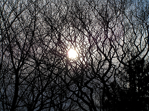 b0067012_115851.jpg