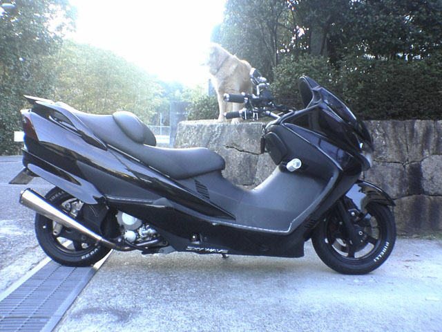 c0041619_2139375.jpg