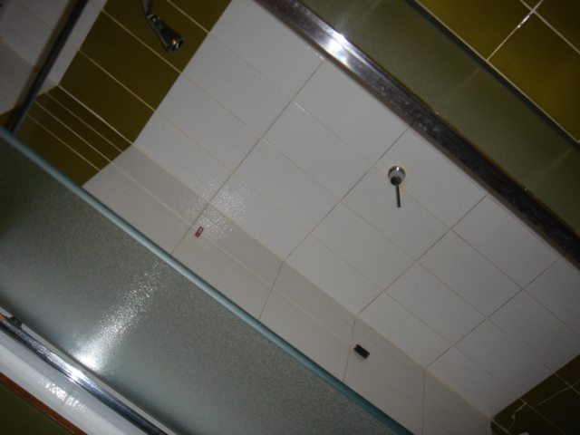 c0053795_1051269.jpg