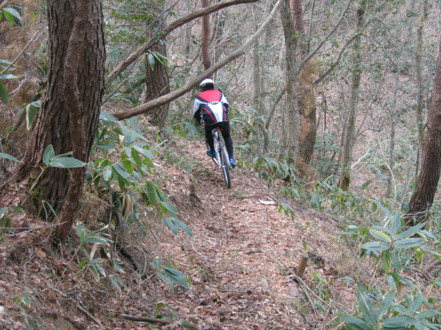 c0059543_17451254.jpg
