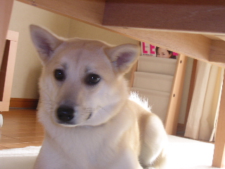 c0065643_020529.jpg