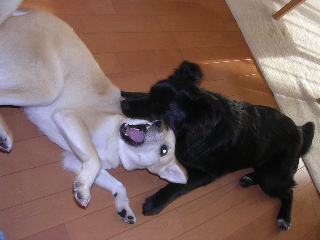 c0065643_0234531.jpg