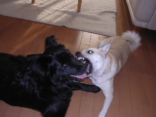 c0065643_025273.jpg