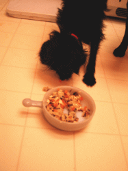 b0035453_1894767.gif