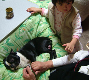 c0032567_23751100.jpg