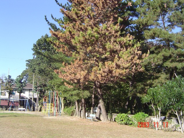 d0007071_11394665.jpg