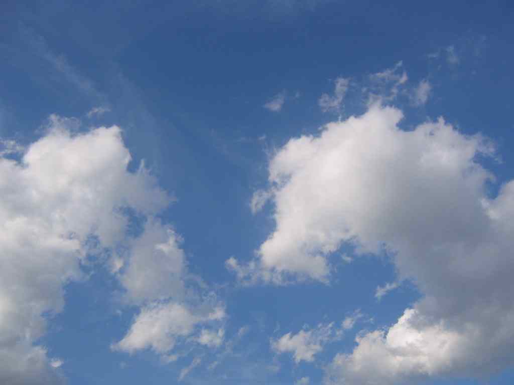 b0045472_054917.jpg