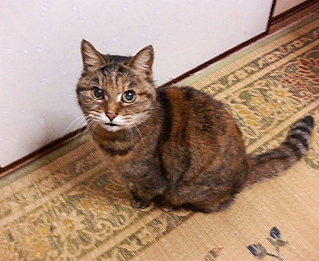 c0074374_23154469.jpg