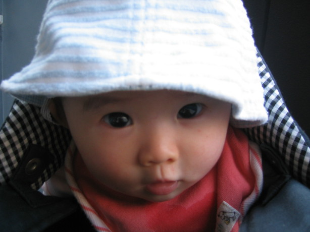 c0029911_2221350.jpg
