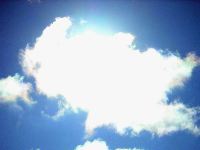 b0053414_23555738.jpg