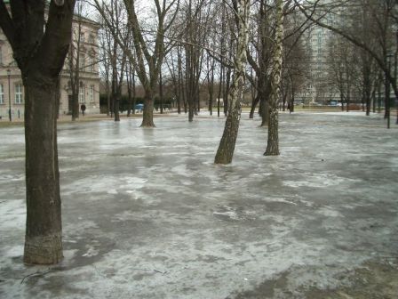 b0017215_5415672.jpg