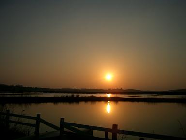 c0005619_223110.jpg