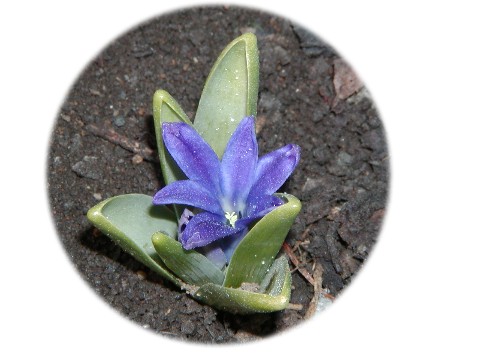 a0004023_73232100.jpg
