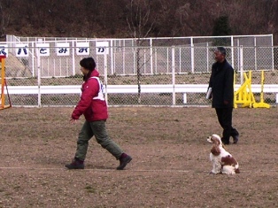 c0061923_14411060.jpg