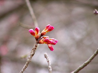 b0009029_14115839.jpg