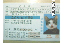 c0011446_5191679.jpg