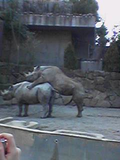 d0004346_22125232.jpg