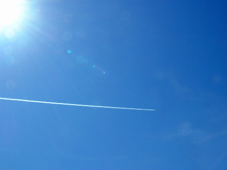 b0015260_1183016.jpg