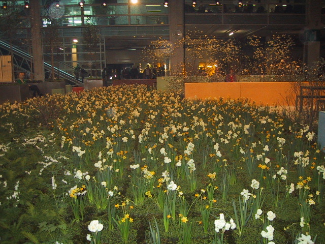 c0059063_17373837.jpg
