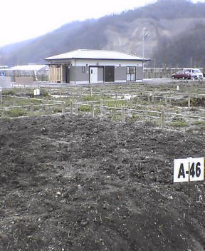 b0052471_196114.jpg