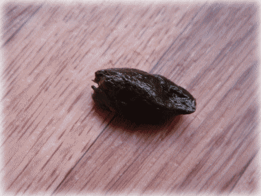 b0055276_4335346.gif