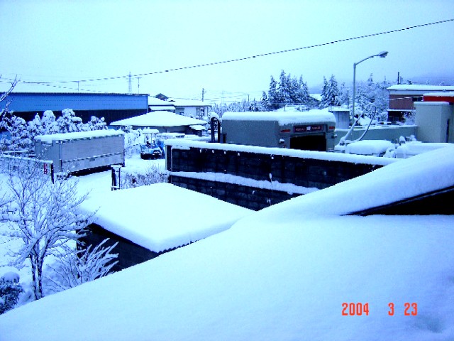 a0005691_51905.jpg