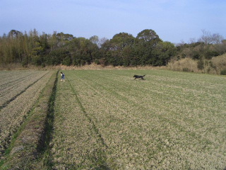 c0056694_22374144.jpg
