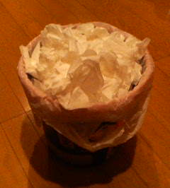 b0056306_2335694.jpg