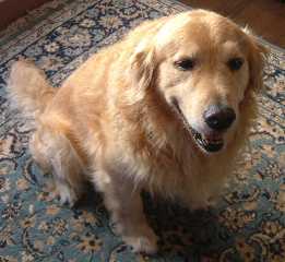 c0017311_994984.jpg