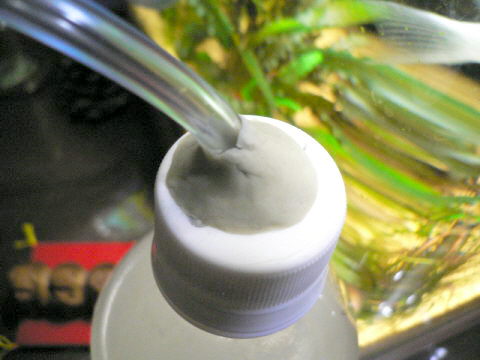 c0069444_16182691.jpg