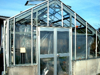 b0015260_15313333.jpg