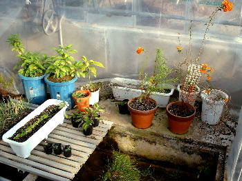 b0015260_15345256.jpg