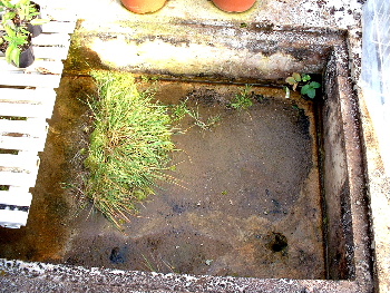 b0015260_1536187.jpg