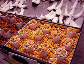 c0009070_3112978.jpg