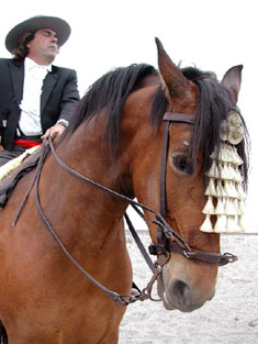 c0009070_373761.jpg