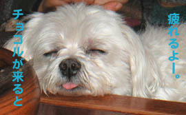 c0012571_17565291.gif
