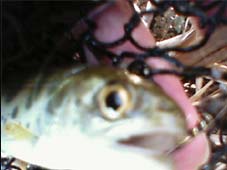 a0028803_1237212.jpg