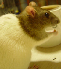 c0005835_18124733.jpg