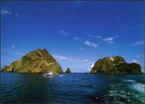 c0042941_9553638.jpg